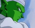 Piccolo51