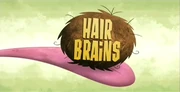 46-1 - Hair Brains