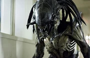 180px-Alienpred460.jpg
