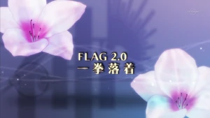 Flag 14.0