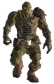 Angel cut.png
