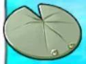 Lily pad