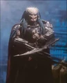 AVP Elder Predator