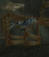 OlBeaky