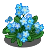 Forget-me-not (Spring Basket)-icon
