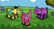 Breeding Pigs-icon