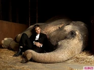 Robert Pattinson