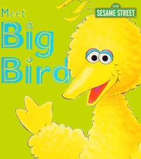 MeetBigBird