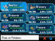 Equipo Pokémon NB