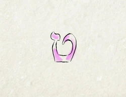 Shalom15-13