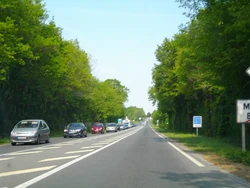 N147 (28)