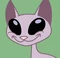 Coop Kat