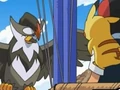 EP587 Staraptor luego de haber triunfado