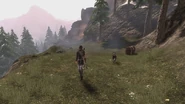 Mistpeak Valley2