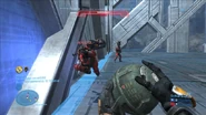 Reach 13114864 Medium