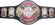 ECW Heavyweight Championship icon