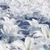 Kategoria-flora.png