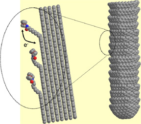 Carbon Nanofiber