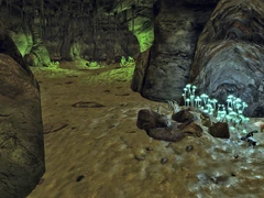 MS Cavern interior