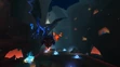 Dragonmaw chasm 3