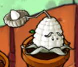 Kernel-pult