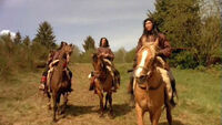http://images2.wikia.nocookie.net/__cb20110426152847/stargate/images/thumb/3/39/Horse.jpg/200px-Horse.jpg