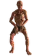 Feral ghoul