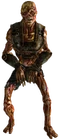 Feral ghoul reaver