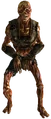 Feral ghoul reaver