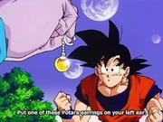 Potara-earring-2