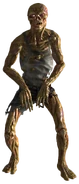 Feral ghoul 02