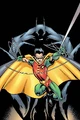 Robin Tim Drake 0014