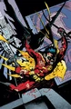 Robin Tim Drake 0030