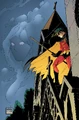 Robin Tim Drake 0032