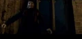 Greyback.jpg