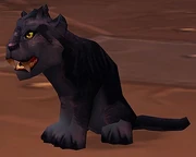 Panther Cub WoW.jpg
