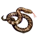 Item junglestrike 01.png