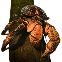 Huge item coconutcrab 01.png