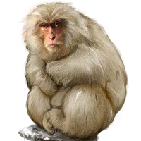 Huge item snowmonkey 01.png