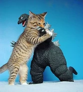 Godzilla and Cat