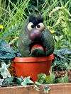 Stinky the Stinkweed