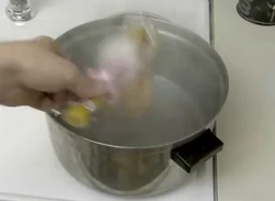 Pot