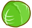 Cabbage CCT