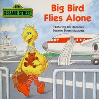 Big Bird Flies Alone