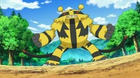 Electivire de Gary