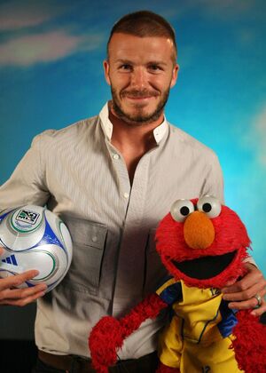 David Beckham Wiki on David Beckham   Muppet Wiki