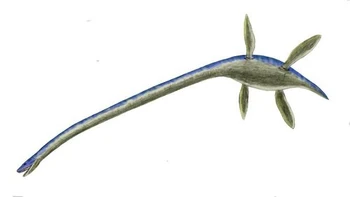 Plesiosaur