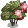 Midland Hawthorn Tree-icon