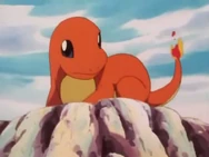 Damian Charmander