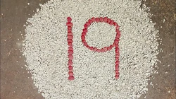 19Pebbles